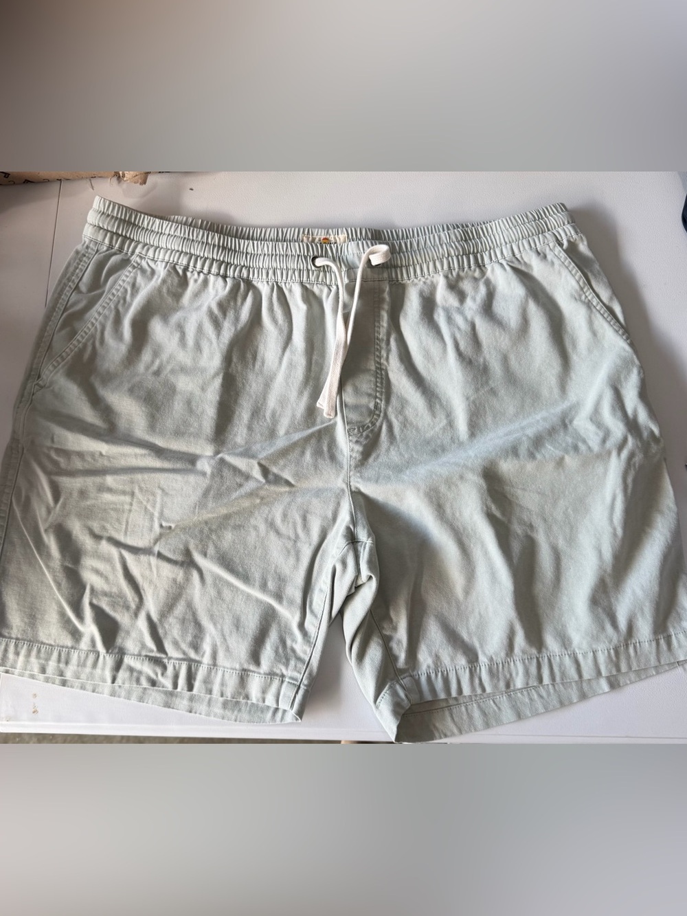 Marine Layer Men's Drawstring Shorts in Light Sage